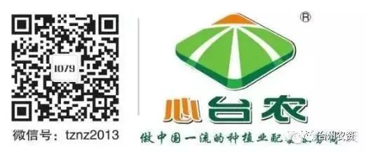果實(shí)接近成熟，警惕柑橘表面各種油胞病