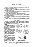 食品機(jī)械第五章 面食品成型與包裝機(jī)械的協(xié)同發(fā)展
