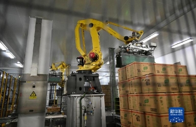“舌尖上”的智能制造 探訪全球首家調(diào)味品“燈塔工廠”的包裝機(jī)械革命
